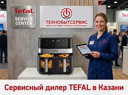 Ремонт аэрогриля Tefal в Казани