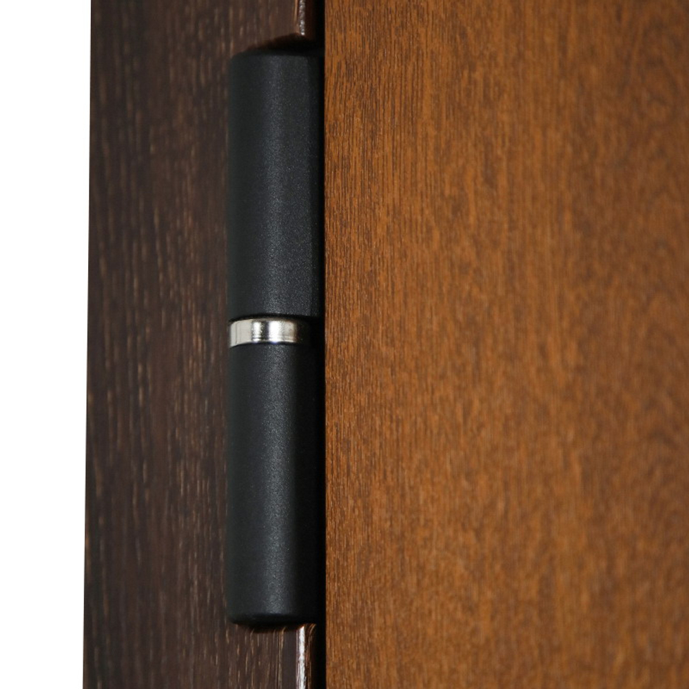 Стальная дверь "Денвер"  (биометрический замок). Заказная модель.