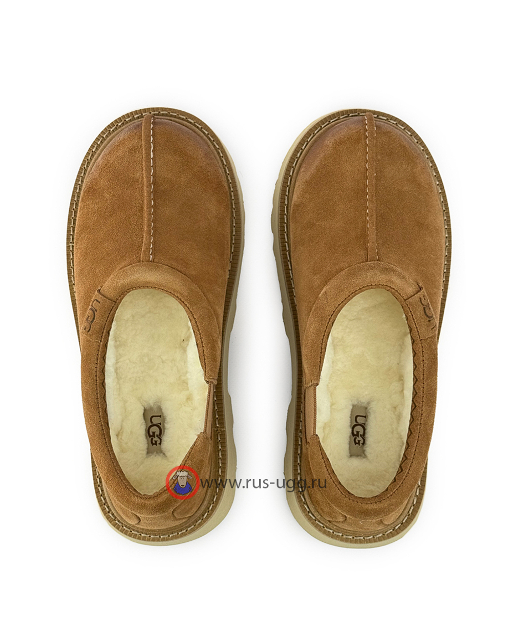 MEN'S TASMAN LUG - Chestnut