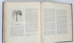 "Золотое руно. Журнал художественный, литературный и критический за 1907 г. № 1 - 5"   1907 г.    Антикварная книга