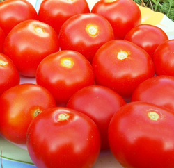 Коктейльные Черри Помидоры Tomato Tommy Toe - ТоматоТомаТой