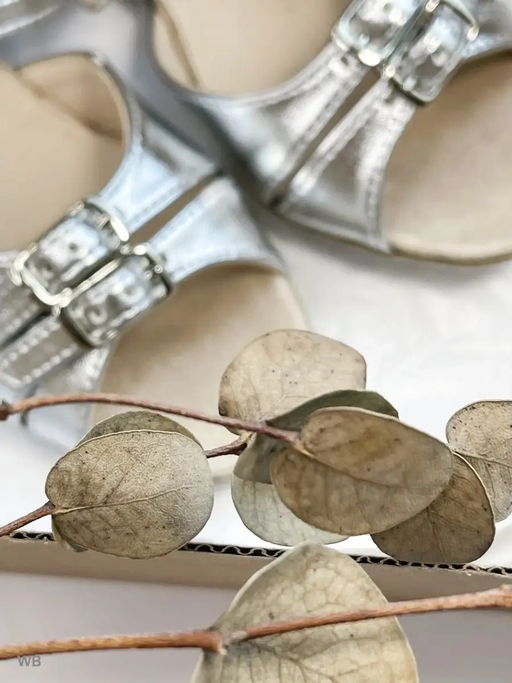 Рейтинговые туфли для бальных танцев Dancemaster (3.5 см)