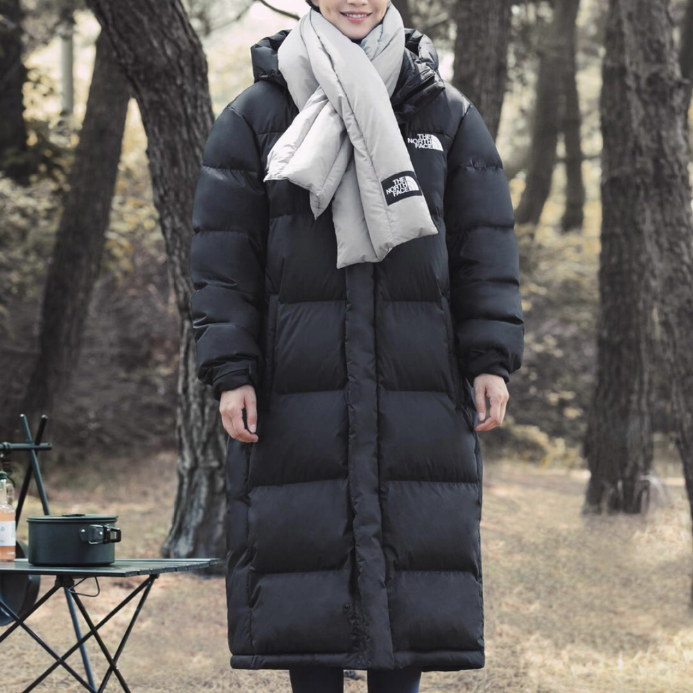 Куртки THE NORTH FACE FW23 Logo, NC1DP51J