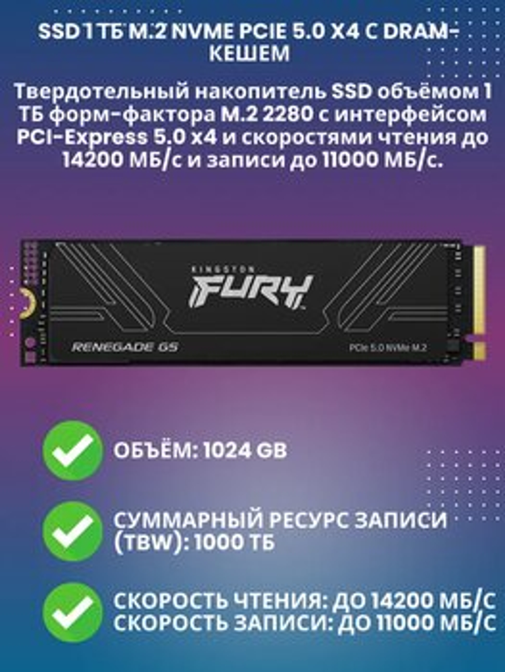 SSD KINGSTON FURY Renegade G5 1TB SFYR2S/1T0 FURY Renegade G5 1TB