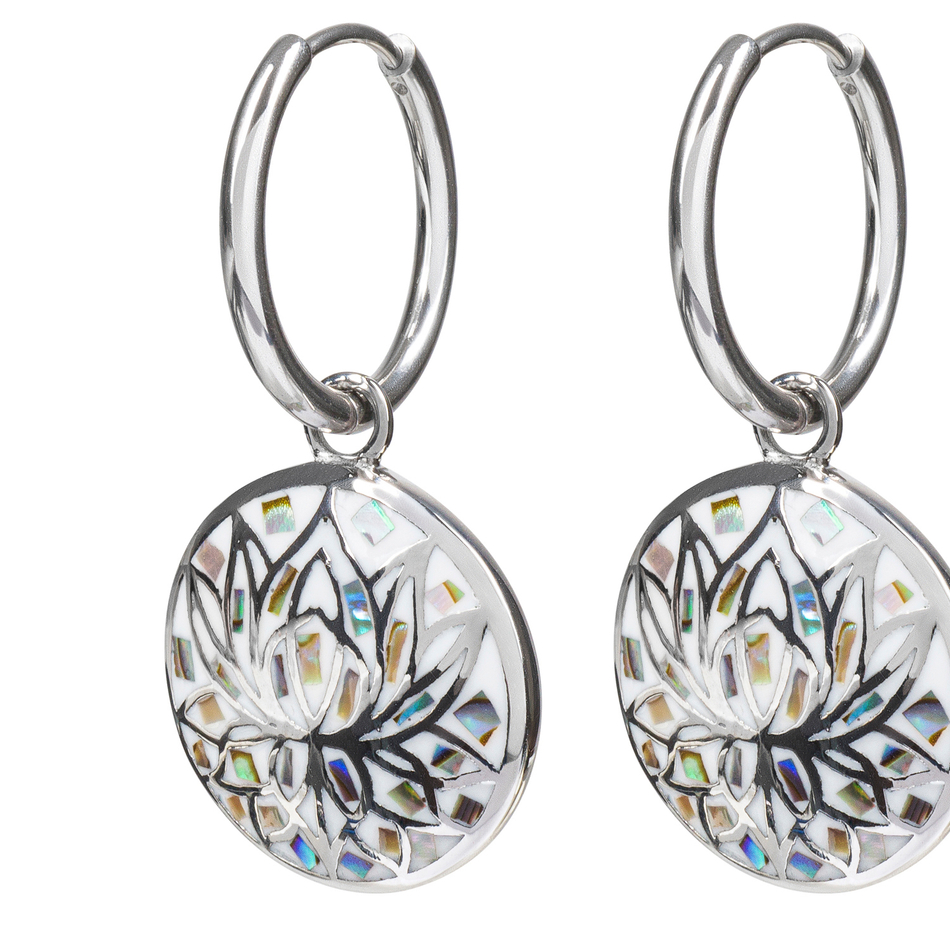 Серьги Fiore Luna AE03596-1