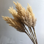 Пампасная трава 90 см, бежевая
