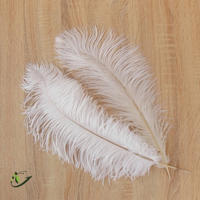 Цельное перо страуса Ostrich Plume 45-50 см (1 шт)