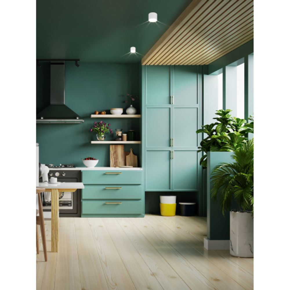 Светильник настенно-потолочный спот ЭРА OL39 WH под GX53 IP20 белый | Накладные светильники