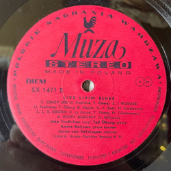 Винтажная виниловая пластинка LP Livin Blues Live (Польша 1977)