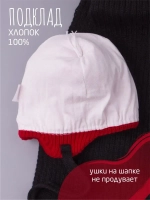 Шапка для девочки осенняя и шарф с ушками