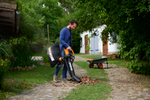 Воздуходув-Садовый Пылесос сетевой WORX WG505E