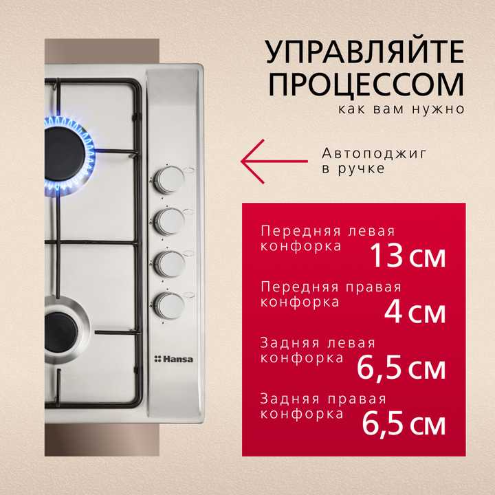 Газовая панель Hansa BHGI63112015