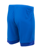 Шорты игровые DIVISION PerFormDRY Union Shorts, синий/темно-синий/белый