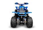 Квадроцикл RACER Typhoon 250