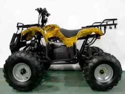 Электроквадроцикл Green Camel Атакама T220 (48V 1000W R8 Дифференциал)