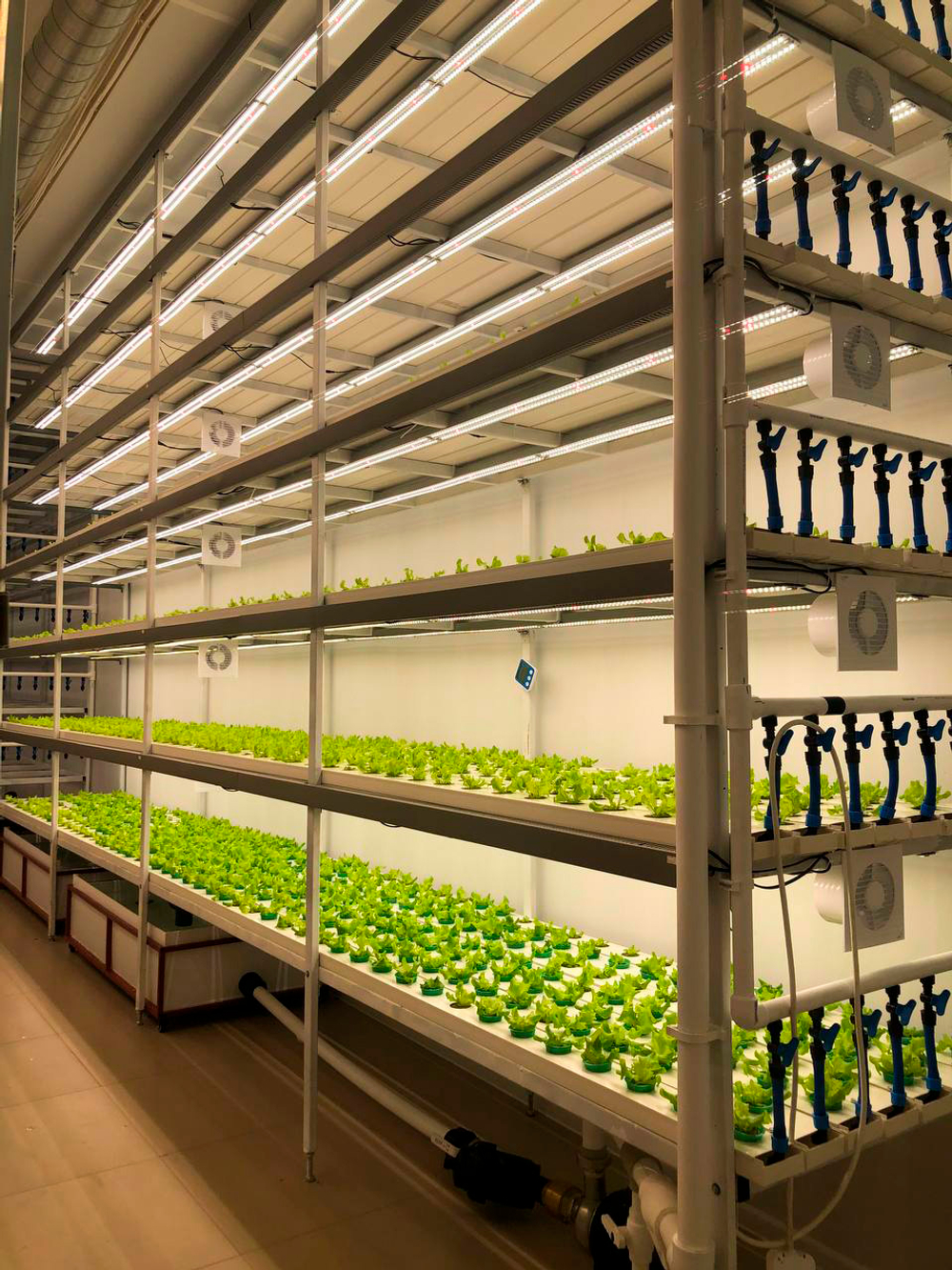 Фитолампа для освещения растений в теплицах и гроубоксах