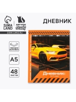 Дневник школьный для мальчиков 5-11 класс