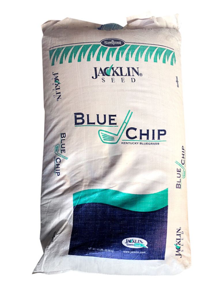 Мятлик луговой Bluechip Jacklin Seed, 22,68 кг