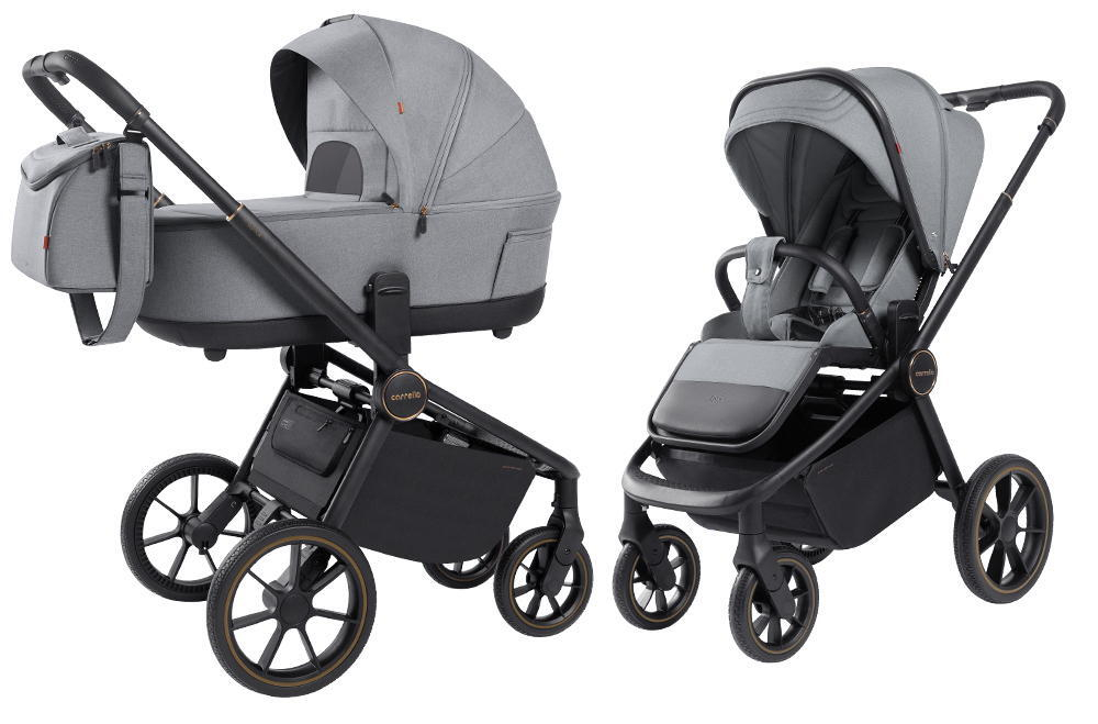 Коляска 2 в 1 Carrello Epica 2025 CRL-8510 Silver Grey