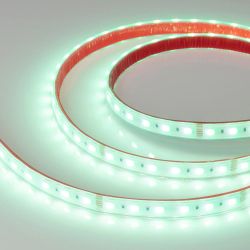 Светодиодная лента RTW-PS-B60-14mm 24V RGBW-White-4-in-1 (19.2 W/m, IP67, 5060, 5m) (Arlight, 19.2 Вт/м, IP67) 034186