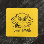 Сова №22 С книжками