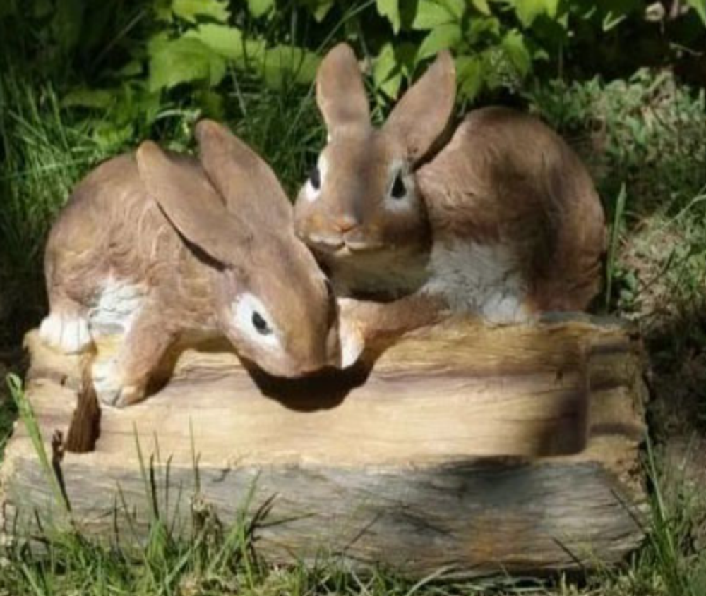 Два зайчика у корыта