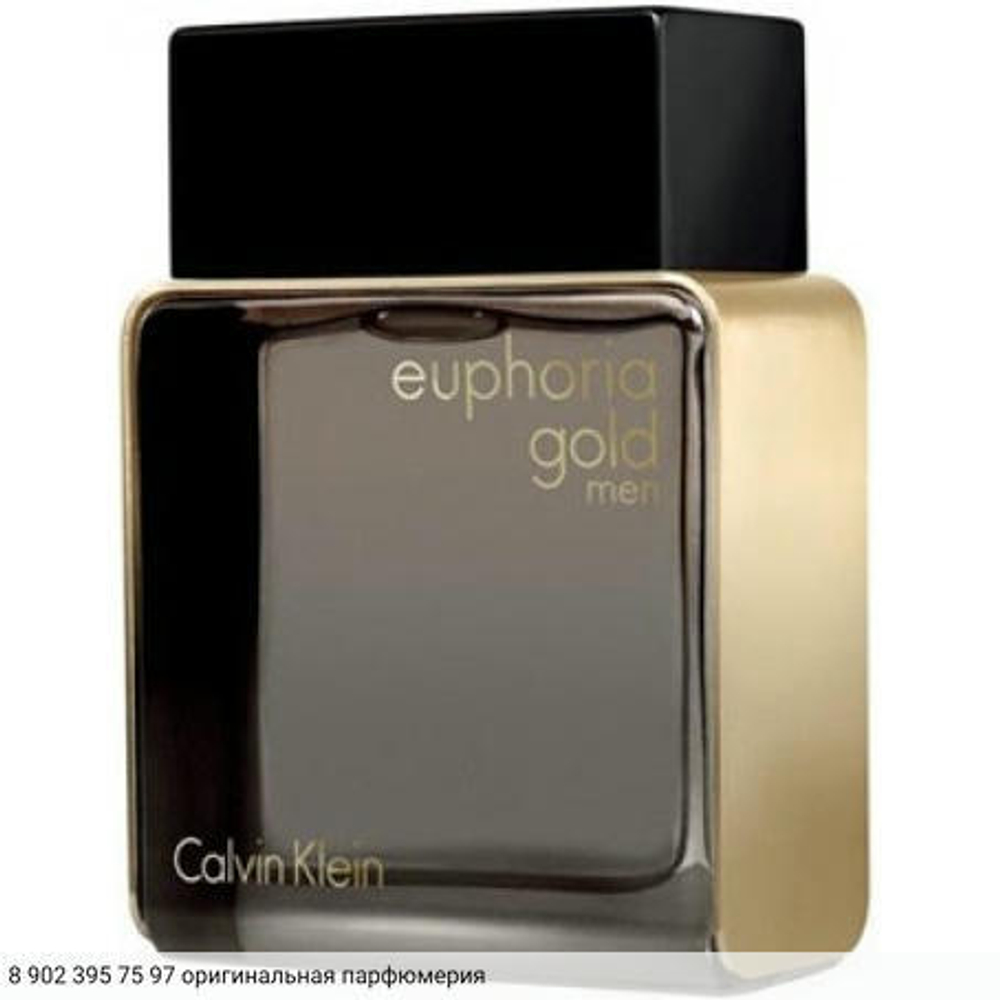 Euphoria Gold Men