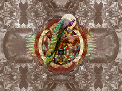 Коллекция GEOTROPICK