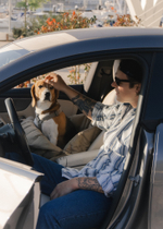 Автокресло-Пони бежевое