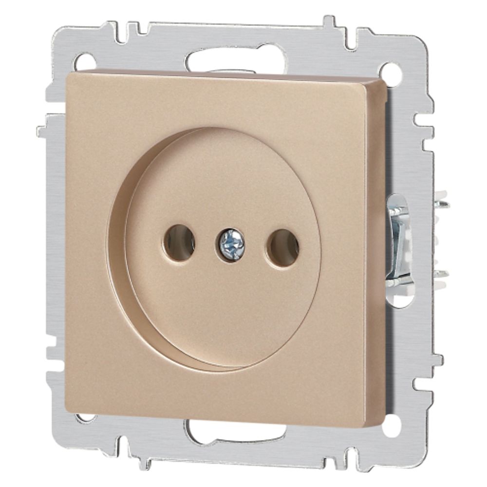 Розетка Intro Accent 6-201-04 2P 16А-250В IP20 СУ AL/CU шампань