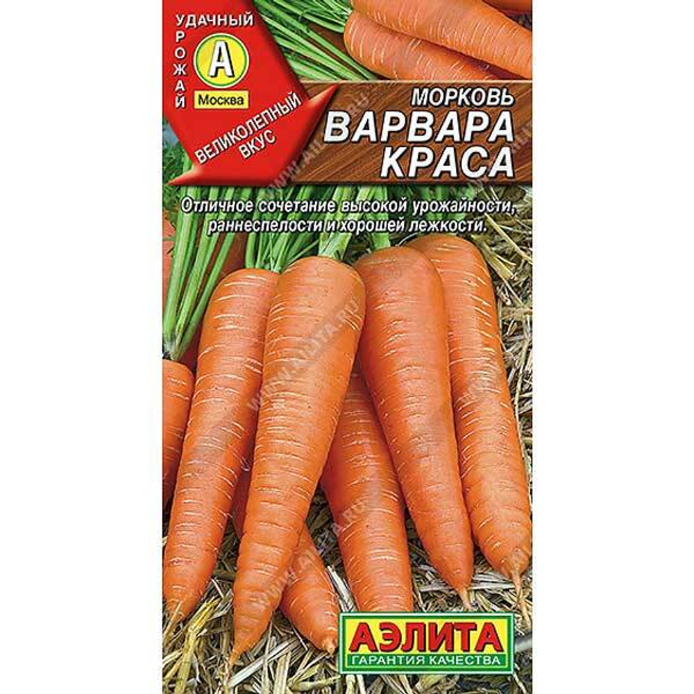 Варвара краса Аэлита Ц
