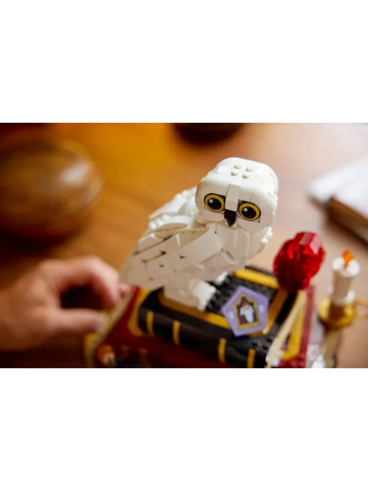 Конструктор Harry Potter 76466 Философский камень