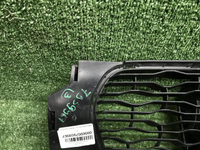 Решетка переднего бампера Renault Duster 2 (20-нв)