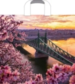 Пакет ПЭ с петлевой ручкой 38х34+3см (70) (Дунай) Артпласт (х50/500)