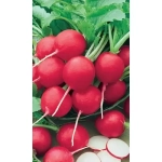 Семена Редис 16 дневный (УД) Е/П