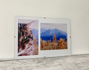 Фотография для интерьера "Железноводск и курортный кот"