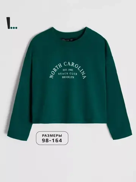 Лонгслив детский трикотажный демисезонный