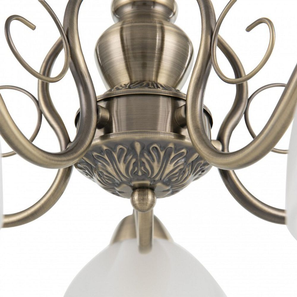 Подвесная люстра Arte Milano Amalfi-0644 330644/5 AB