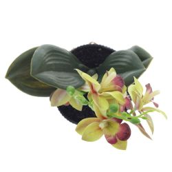 GAEM Цветочная композиция "Орхидея", L11 W11 H26 см