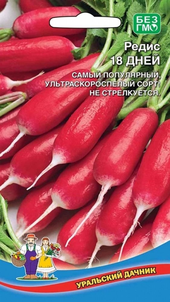 Редис &quot;G. 18 дней&quot; 2г., Россия.