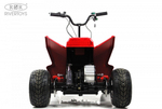 Детский электроквадроцикл RiverToys M009MM красный