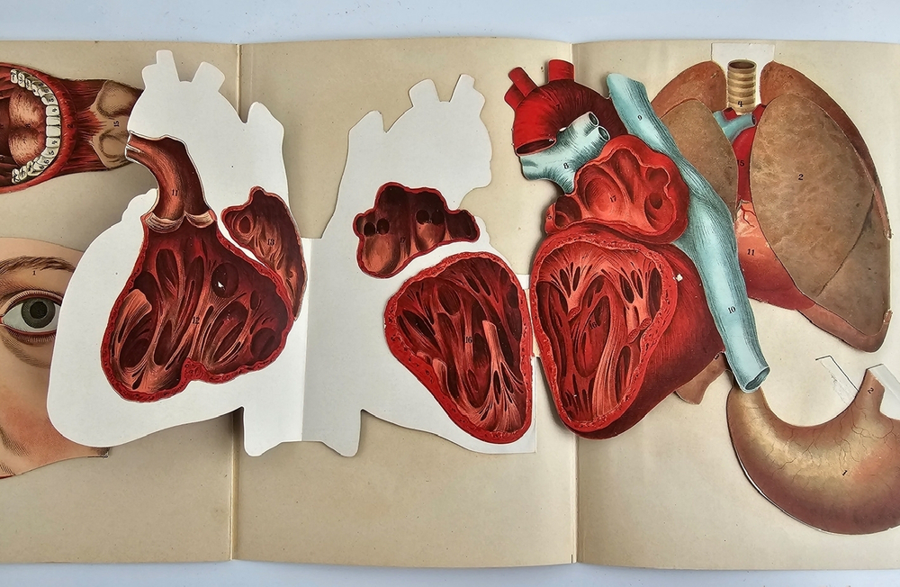 "Новый способ лечения. Лечение целебными силами природы."  М. Платен. 1906 г.