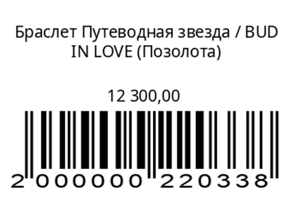 Браслет Путеводная звезда