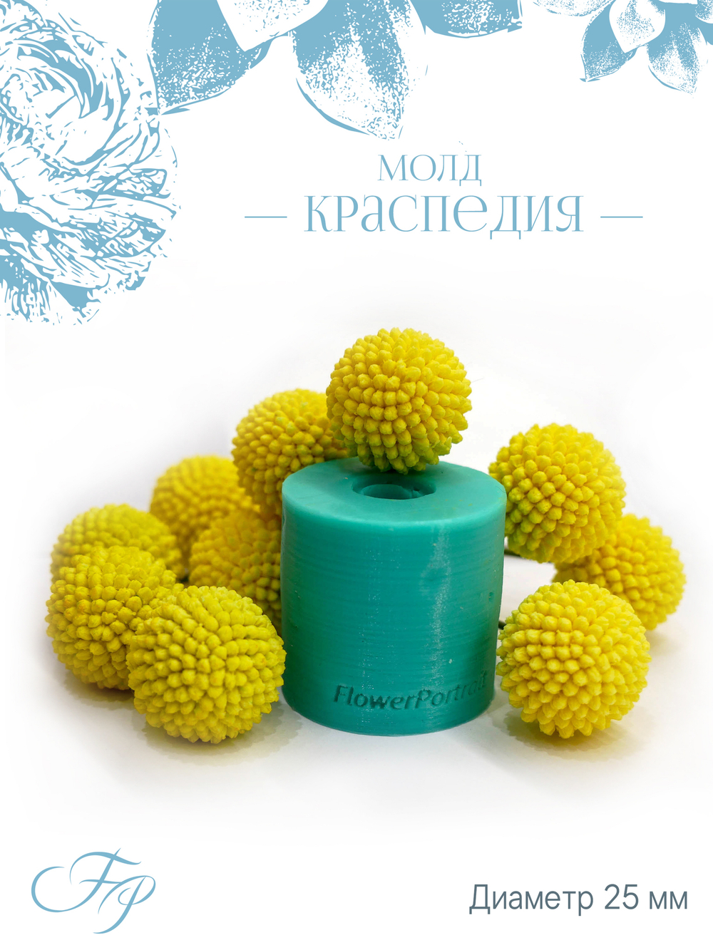 Молд Краспедия