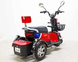 Электротрицикл Green Camel Фродо Q2 (60V 500W) дифф
