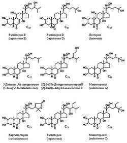 Состав экдистероидов, синтезируемых Rhaponticum carthamoides