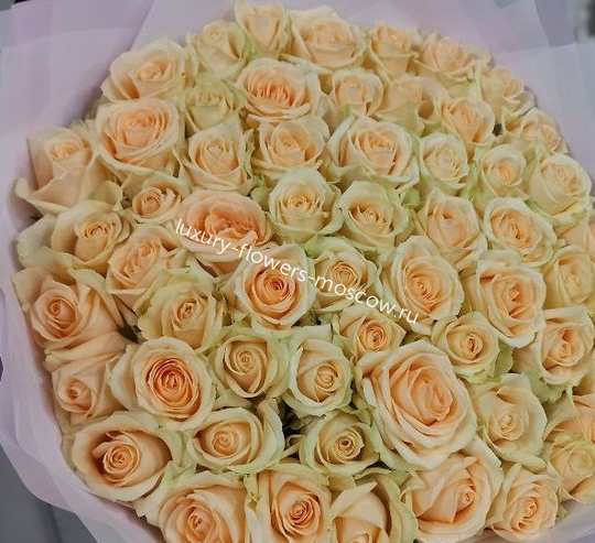 65 персиковых роз