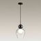 Подвесной светильник Odeon Light Blacky 5023/1