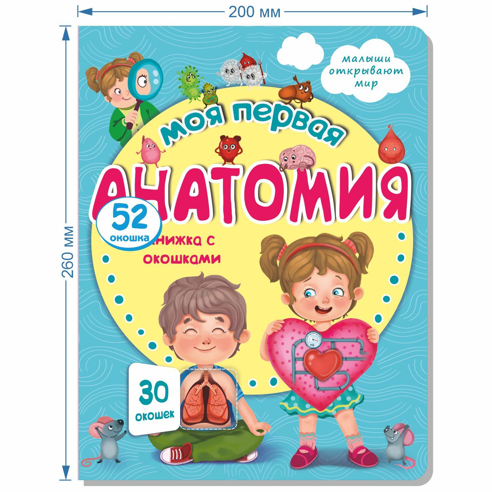 Книжка с окошками МОЯ ПЕРВАЯ АНАТОМИЯ