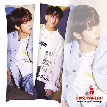 Дакимакура Джисон и Чанбин арт. 1032